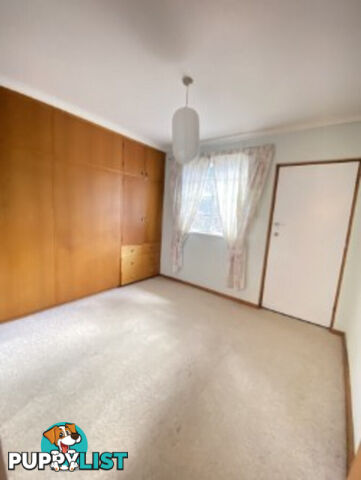8 Wells Gardens, GRIFFITH ACT 2603