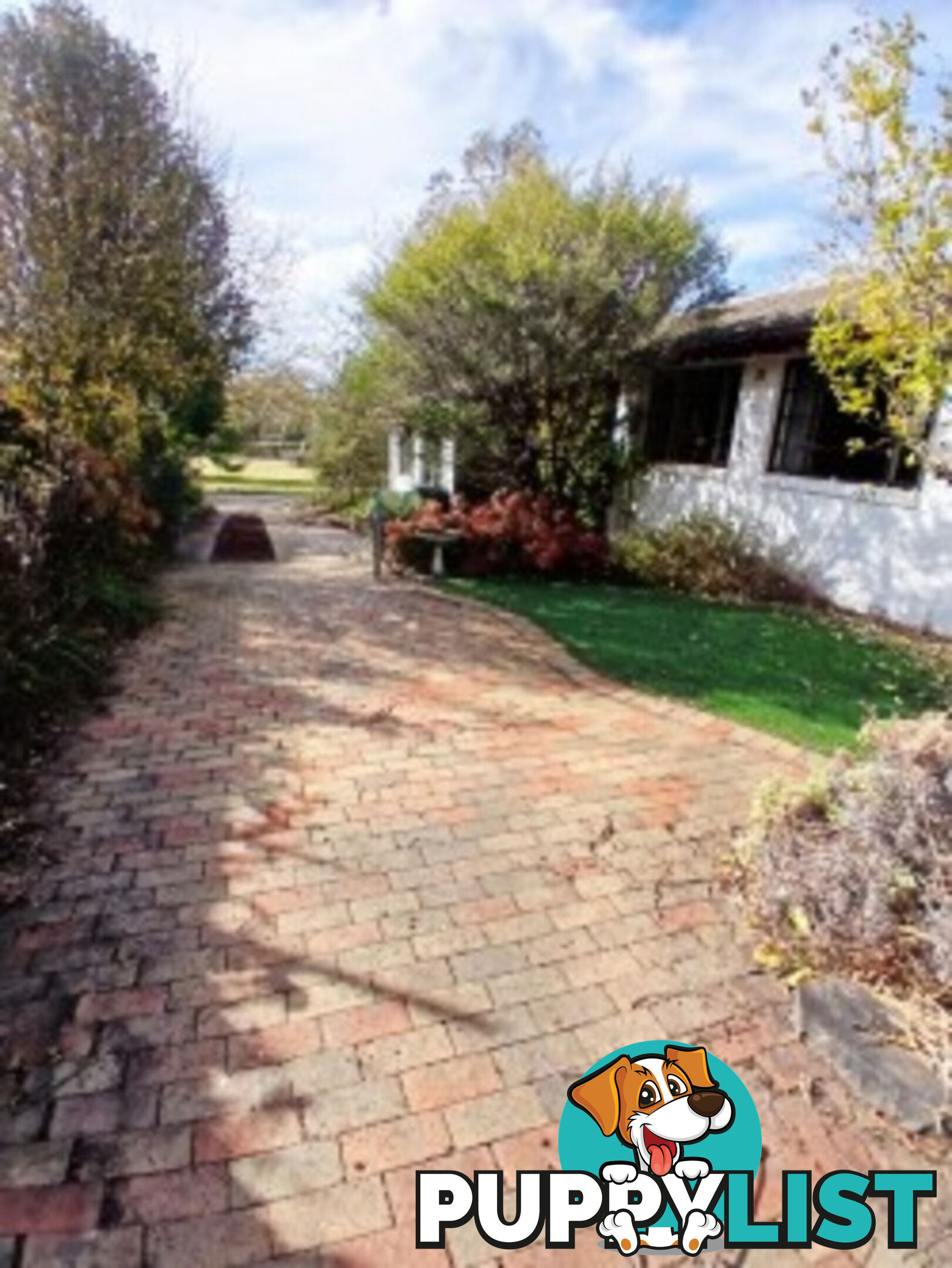 8 Wells Gardens, GRIFFITH ACT 2603