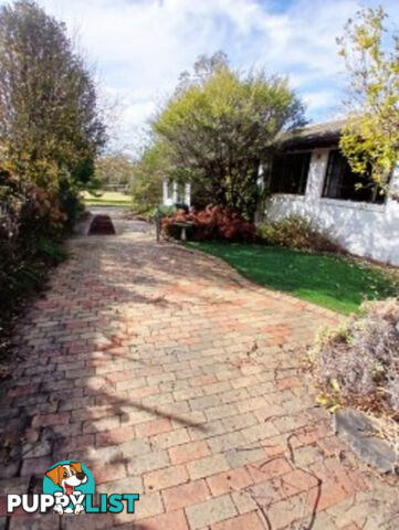 8 Wells Gardens, GRIFFITH ACT 2603