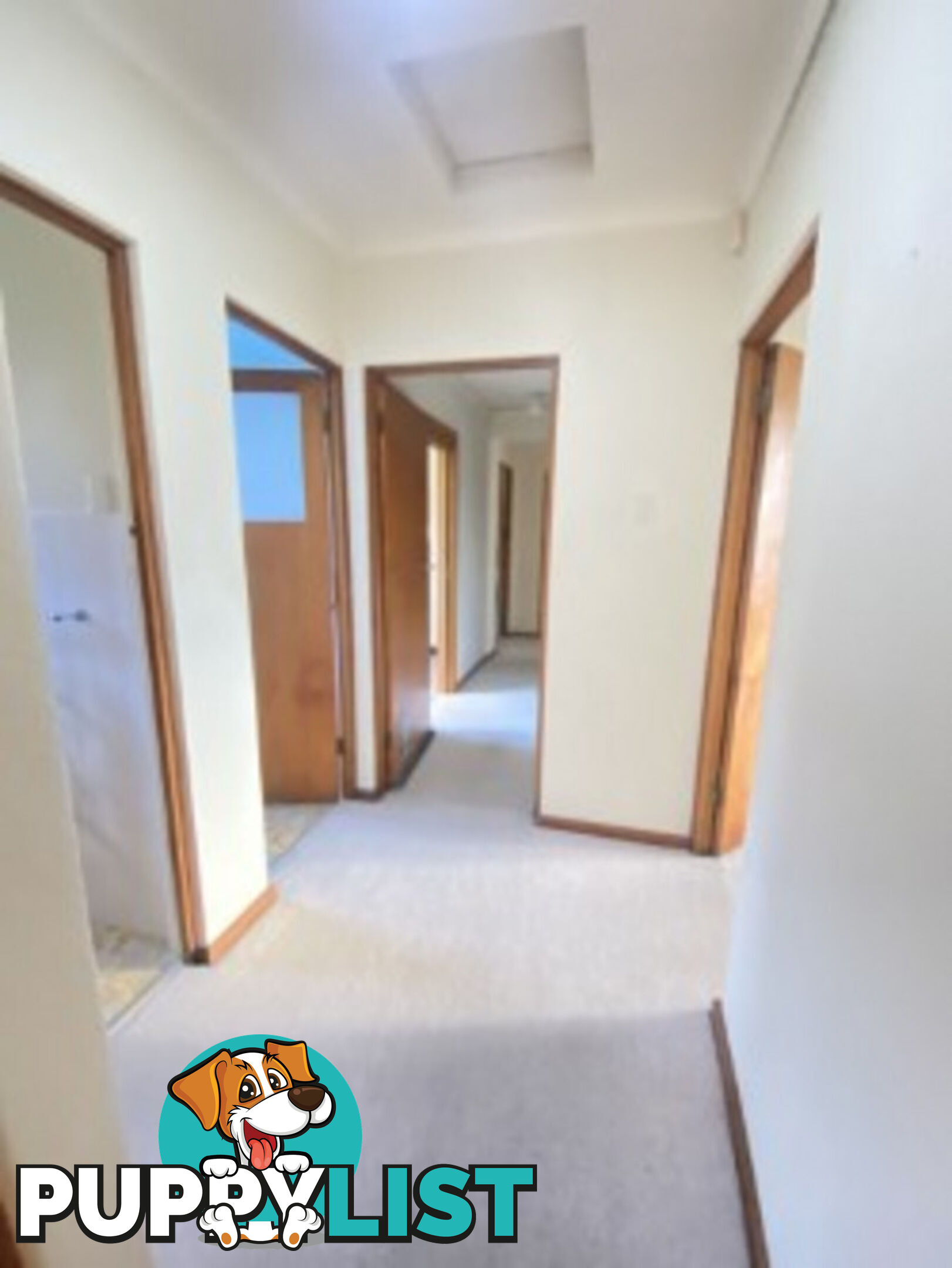 8 Wells Gardens, GRIFFITH ACT 2603