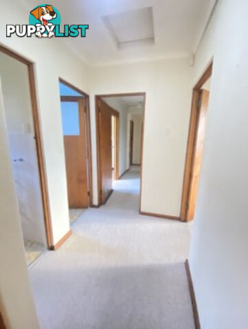 8 Wells Gardens, GRIFFITH ACT 2603