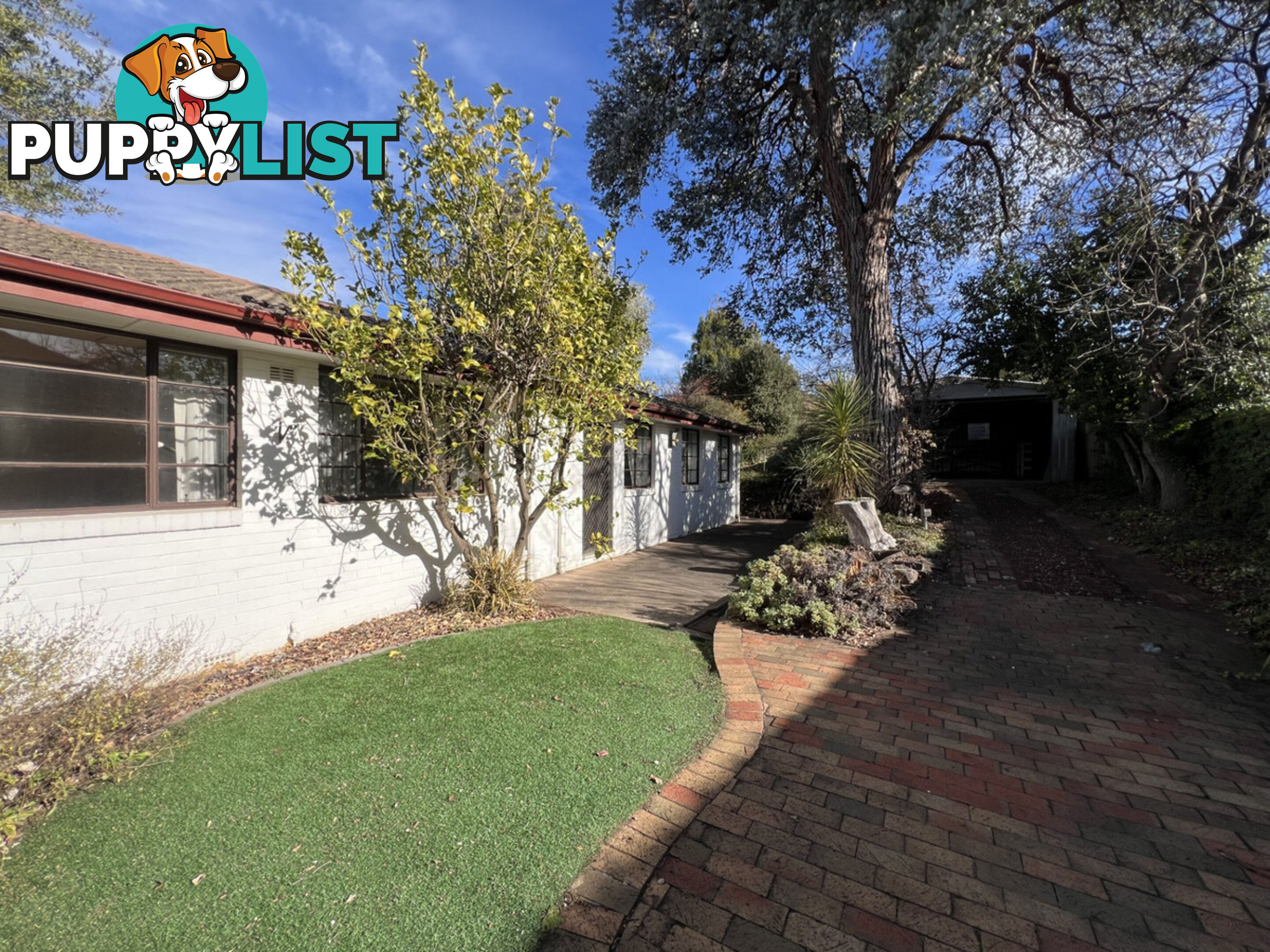 8 Wells Gardens, GRIFFITH ACT 2603