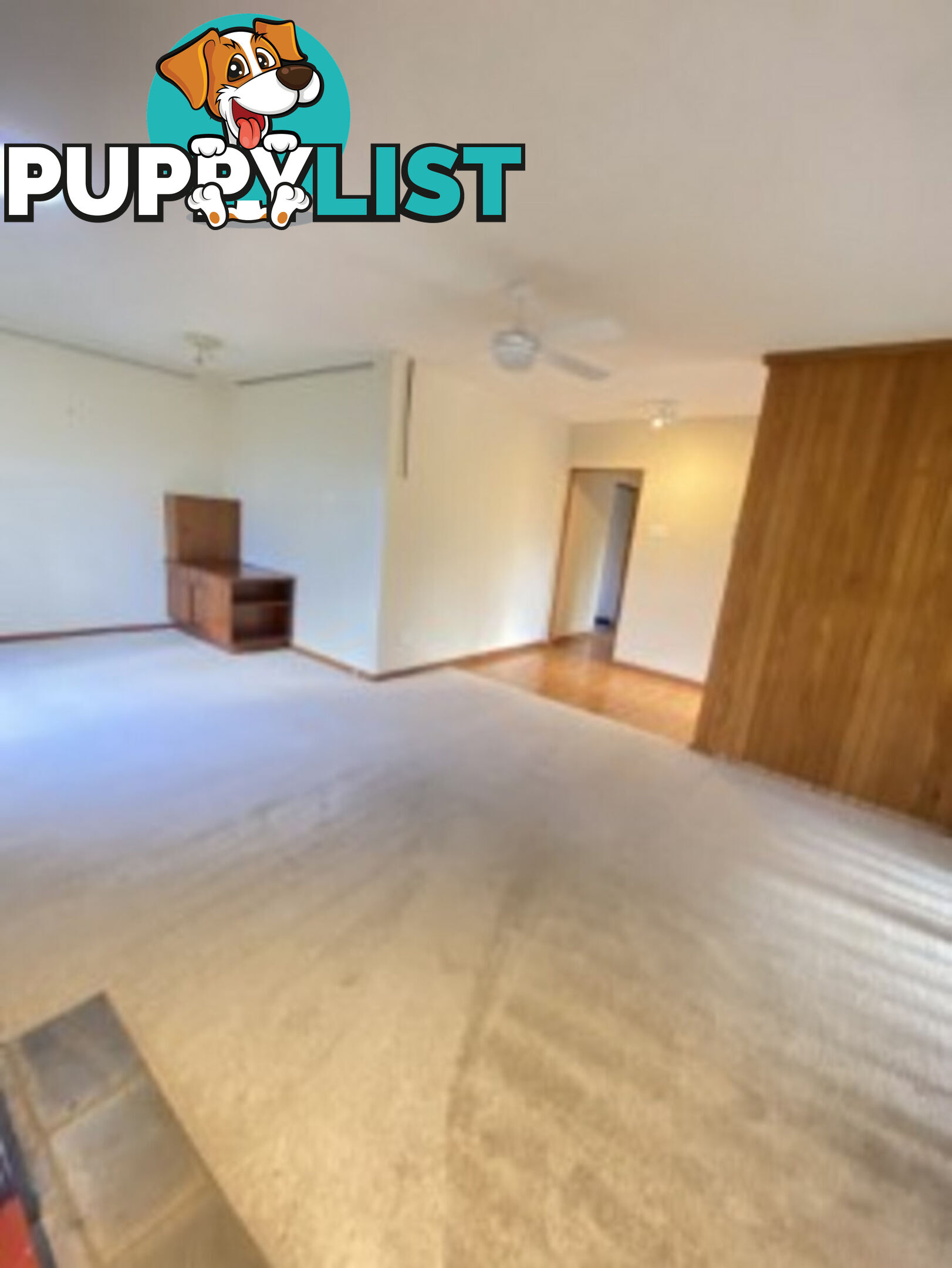 8 Wells Gardens, GRIFFITH ACT 2603