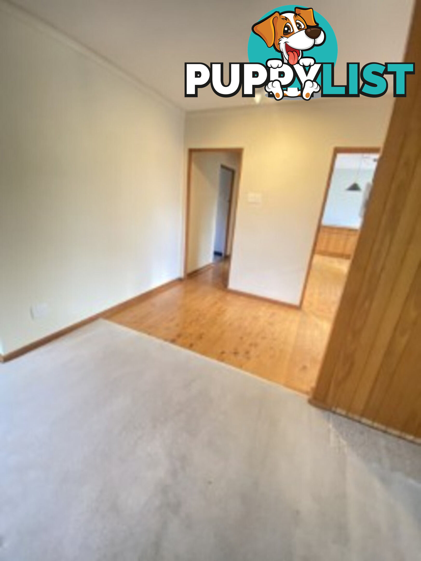 8 Wells Gardens, GRIFFITH ACT 2603