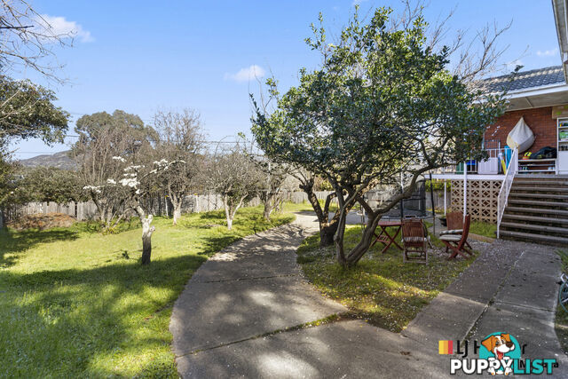 60 Fitchett Street GARRAN ACT 2605