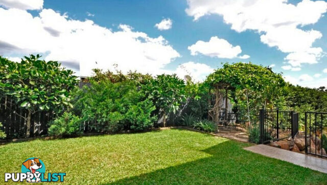 16 Talisman Court EATONS HILL QLD 4037