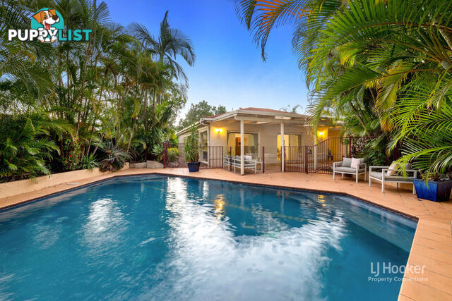 12 Brandy Court EATONS HILL QLD 4037