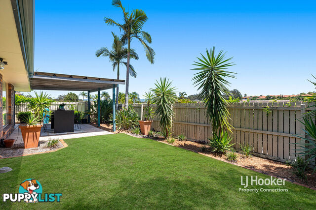 19 Flinders Way ALBANY CREEK QLD 4035