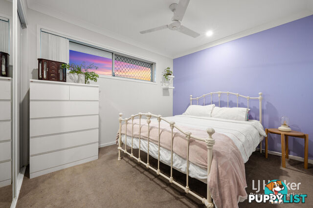 56 Samuel Road GRIFFIN QLD 4503