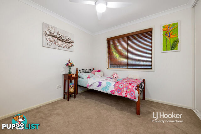 16 Castleroy Court ALBANY CREEK QLD 4035