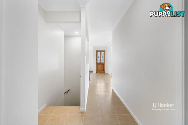 331 Maundrell Terrace ASPLEY QLD 4034
