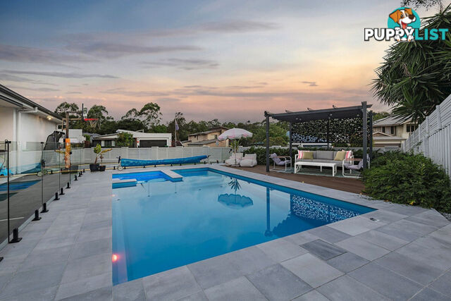 11 Delta Street EATONS HILL QLD 4037