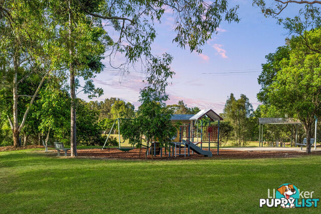 3 Tributary Court EATONS HILL QLD 4037