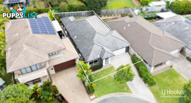 14 Toorak Road ALBANY CREEK QLD 4035