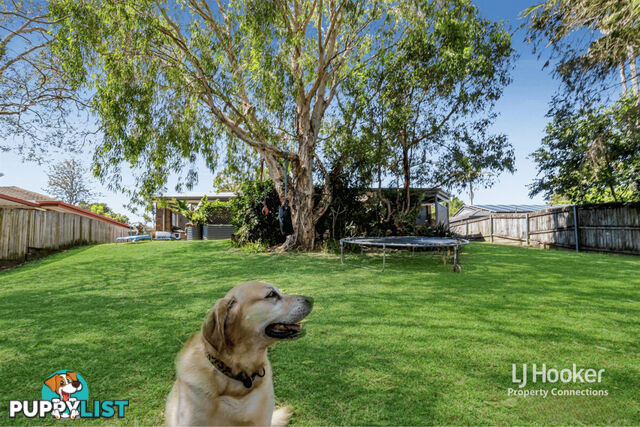 9 Flamingo Drive ALBANY CREEK QLD 4035