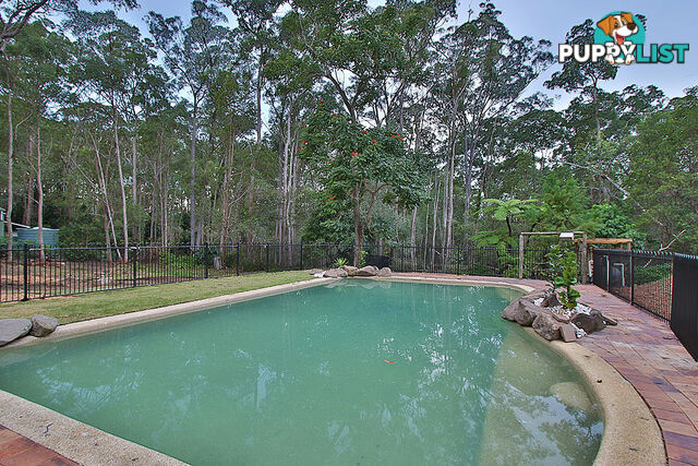 15 Lindale Court CASHMERE QLD 4500