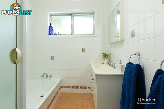 8 Kevin Court ALBANY CREEK QLD 4035