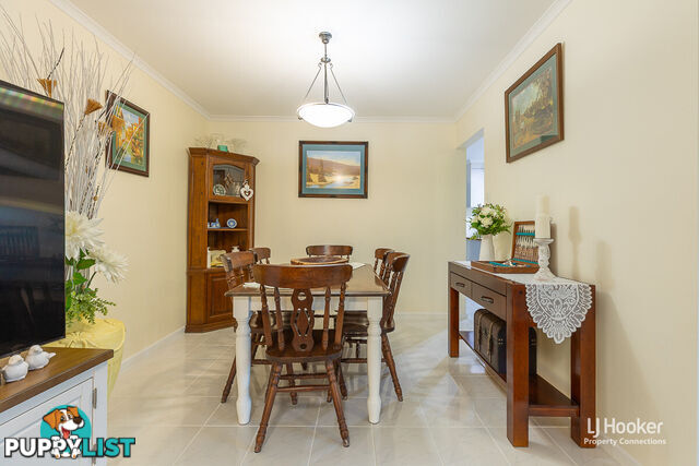 8 Kevin Court ALBANY CREEK QLD 4035