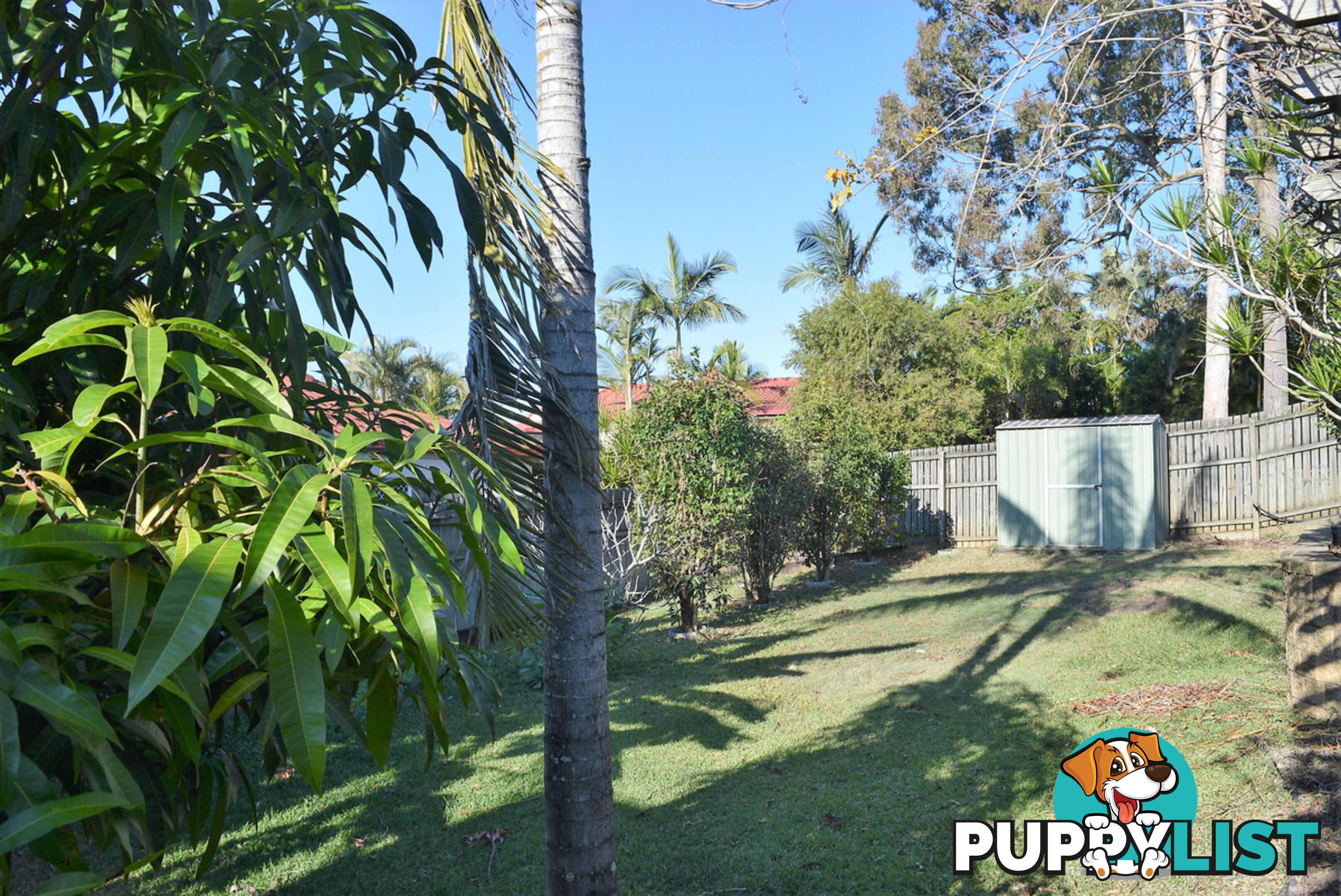 134 Albany Forest Drive ALBANY CREEK QLD 4035