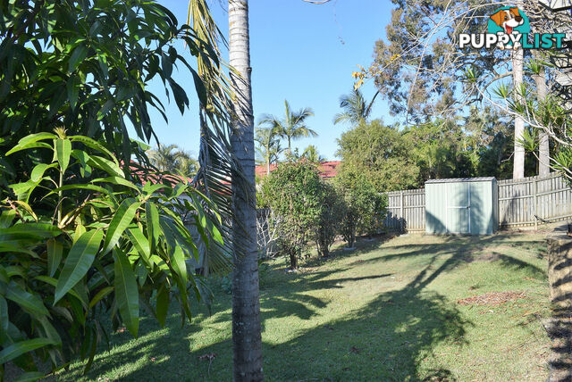 134 Albany Forest Drive ALBANY CREEK QLD 4035