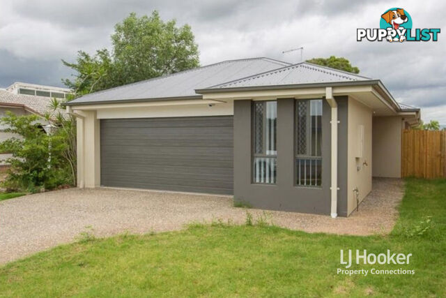 12 Moyston Street CARSELDINE QLD 4034