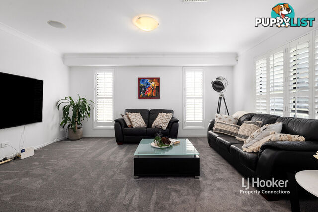 14 Shearwater Close ALBANY CREEK QLD 4035