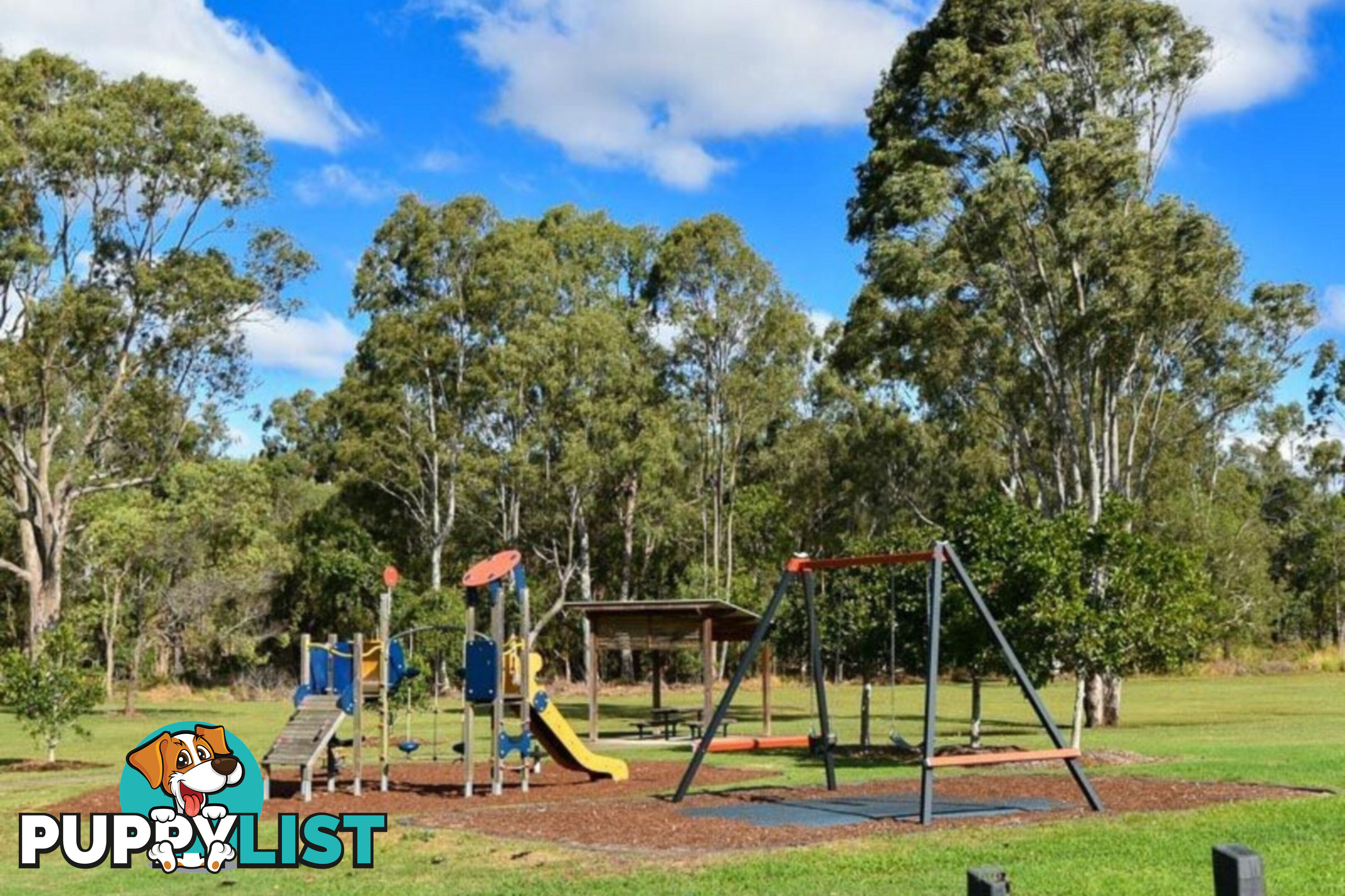 47 Waterlily Circuit CARSELDINE QLD 4034