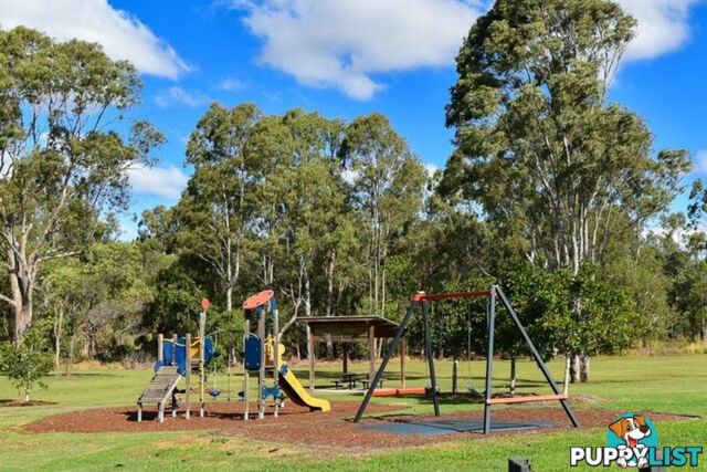 47 Waterlily Circuit CARSELDINE QLD 4034
