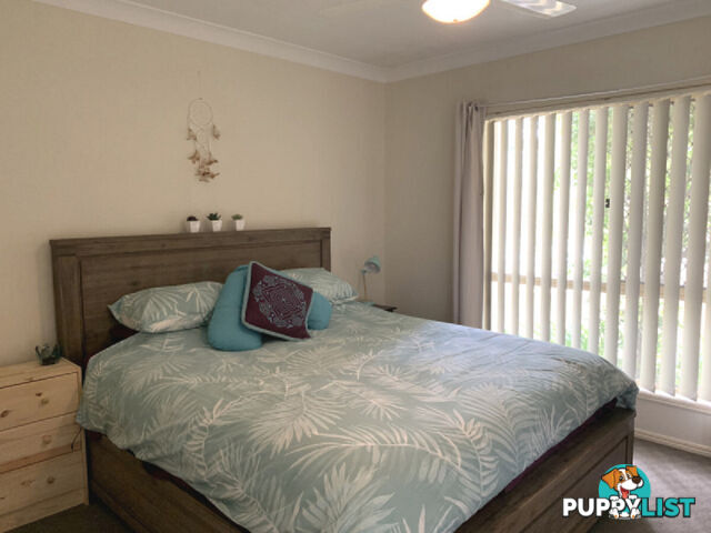 20 Walkers Road EVERTON HILLS QLD 4053