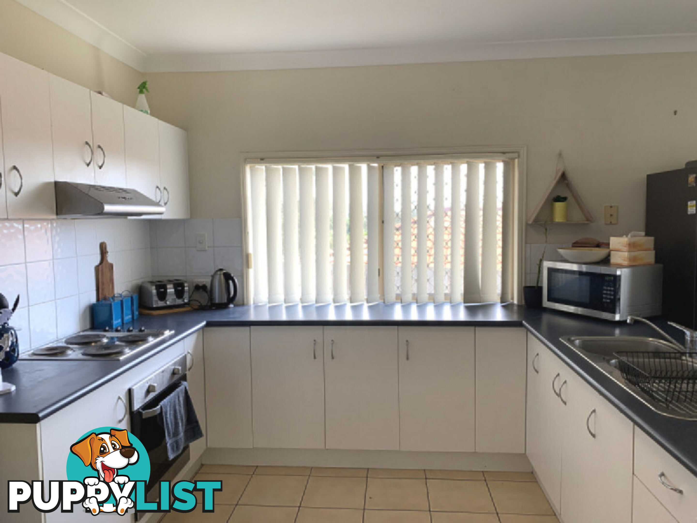 20 Walkers Road EVERTON HILLS QLD 4053