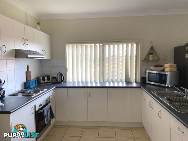 20 Walkers Road EVERTON HILLS QLD 4053