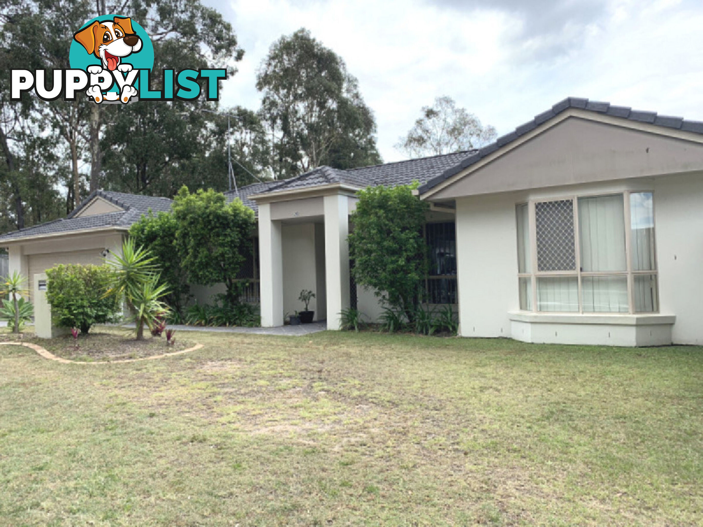 20 Walkers Road EVERTON HILLS QLD 4053