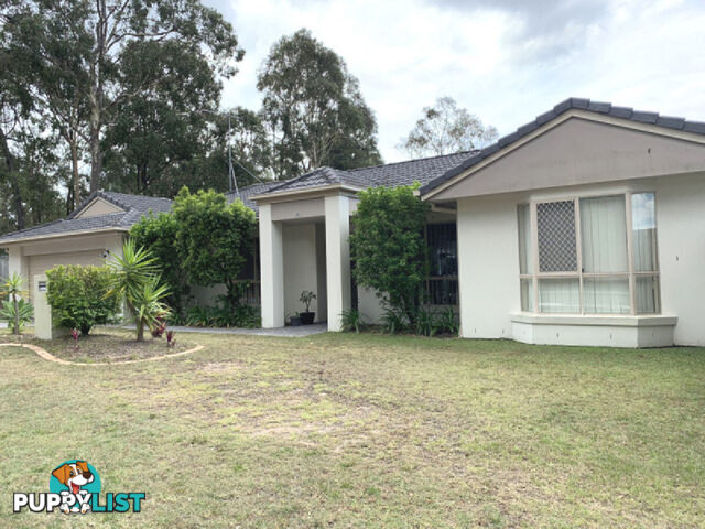 20 Walkers Road EVERTON HILLS QLD 4053