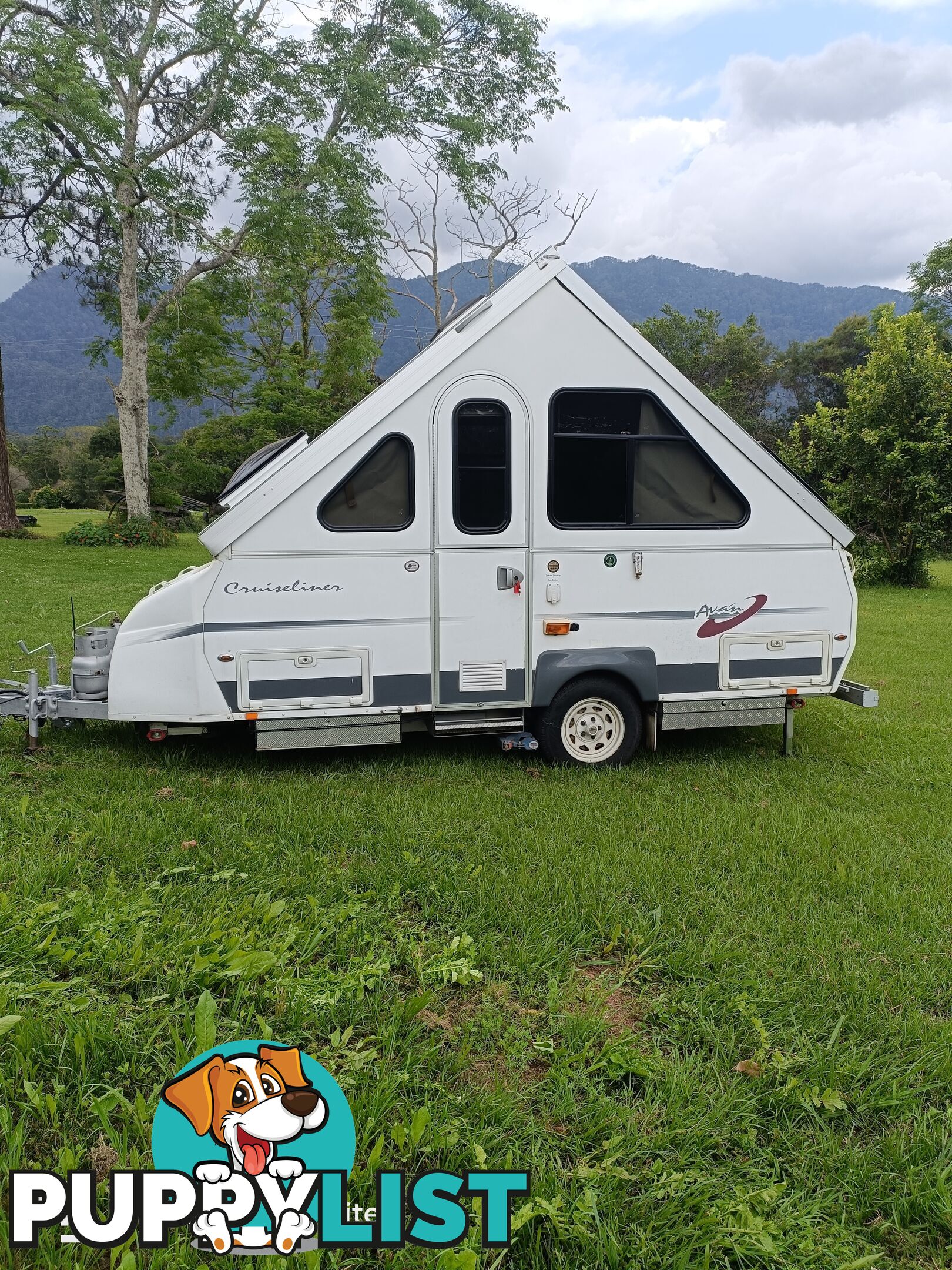 2010 Avan CRUISELINER