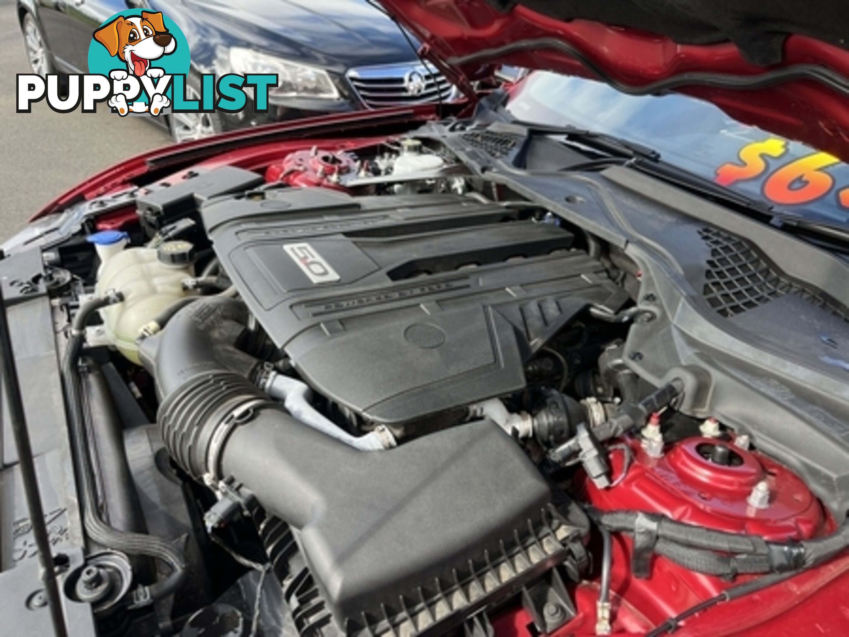 2022  FORD MUSTANG GT FN MY22.25 FASTBACK - COUP