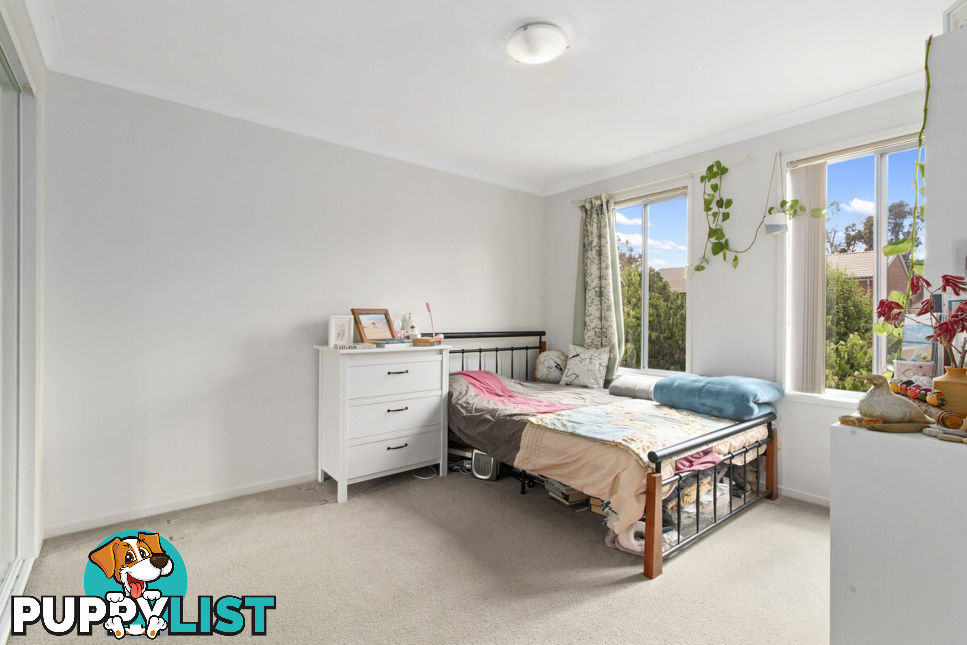 29 Whitmore Crescent WATSON ACT 2602