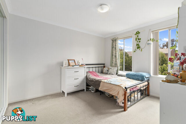 29 Whitmore Crescent WATSON ACT 2602