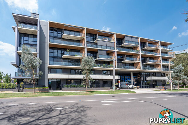16/2 David Street TURNER ACT 2612