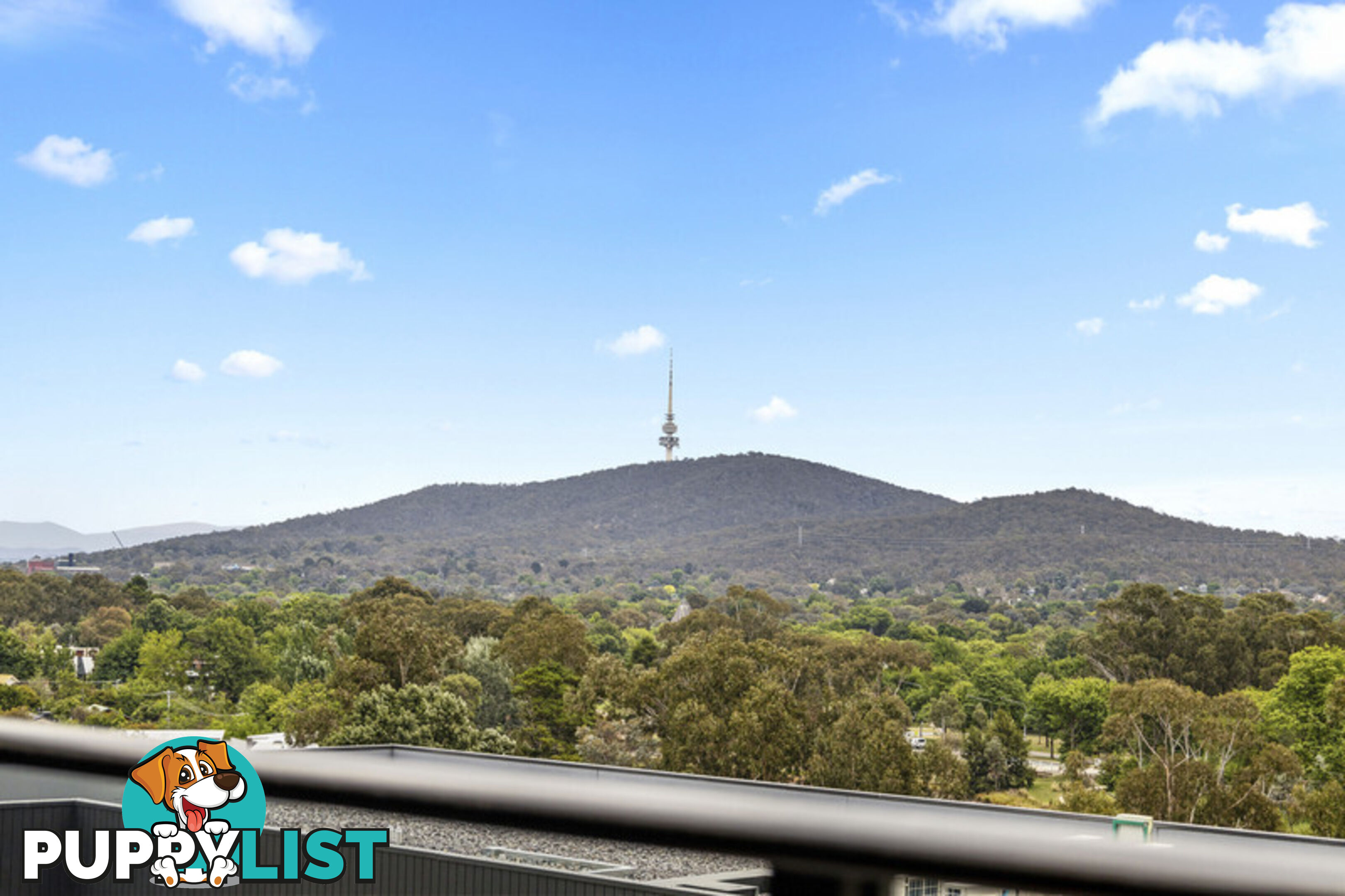 702/349 Northbourne Avenue LYNEHAM ACT 2602