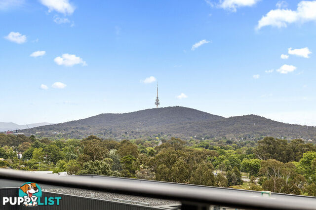 702/349 Northbourne Avenue LYNEHAM ACT 2602