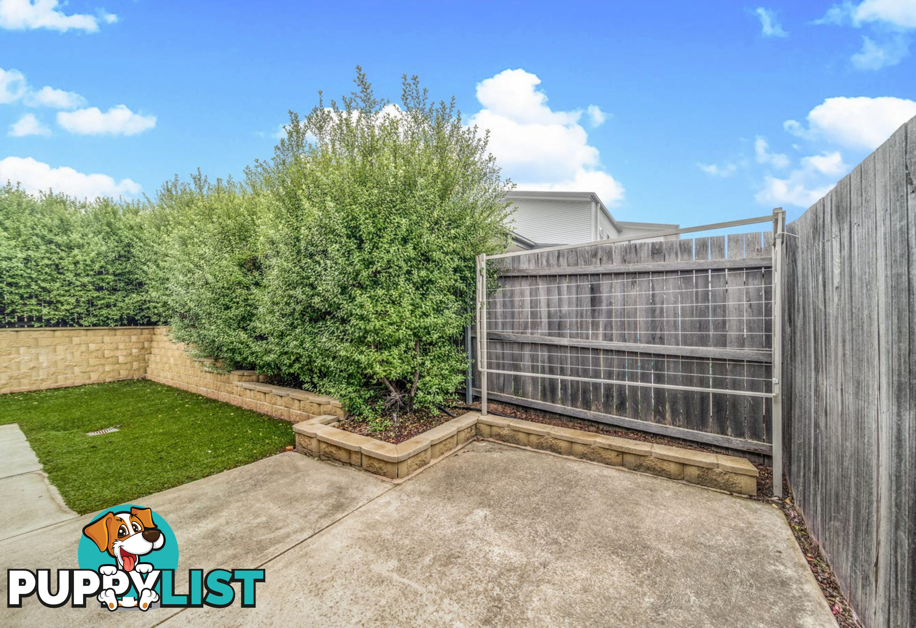 11 Patrick Shaw Street CASEY ACT 2913