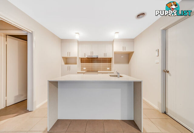 11 Patrick Shaw Street CASEY ACT 2913