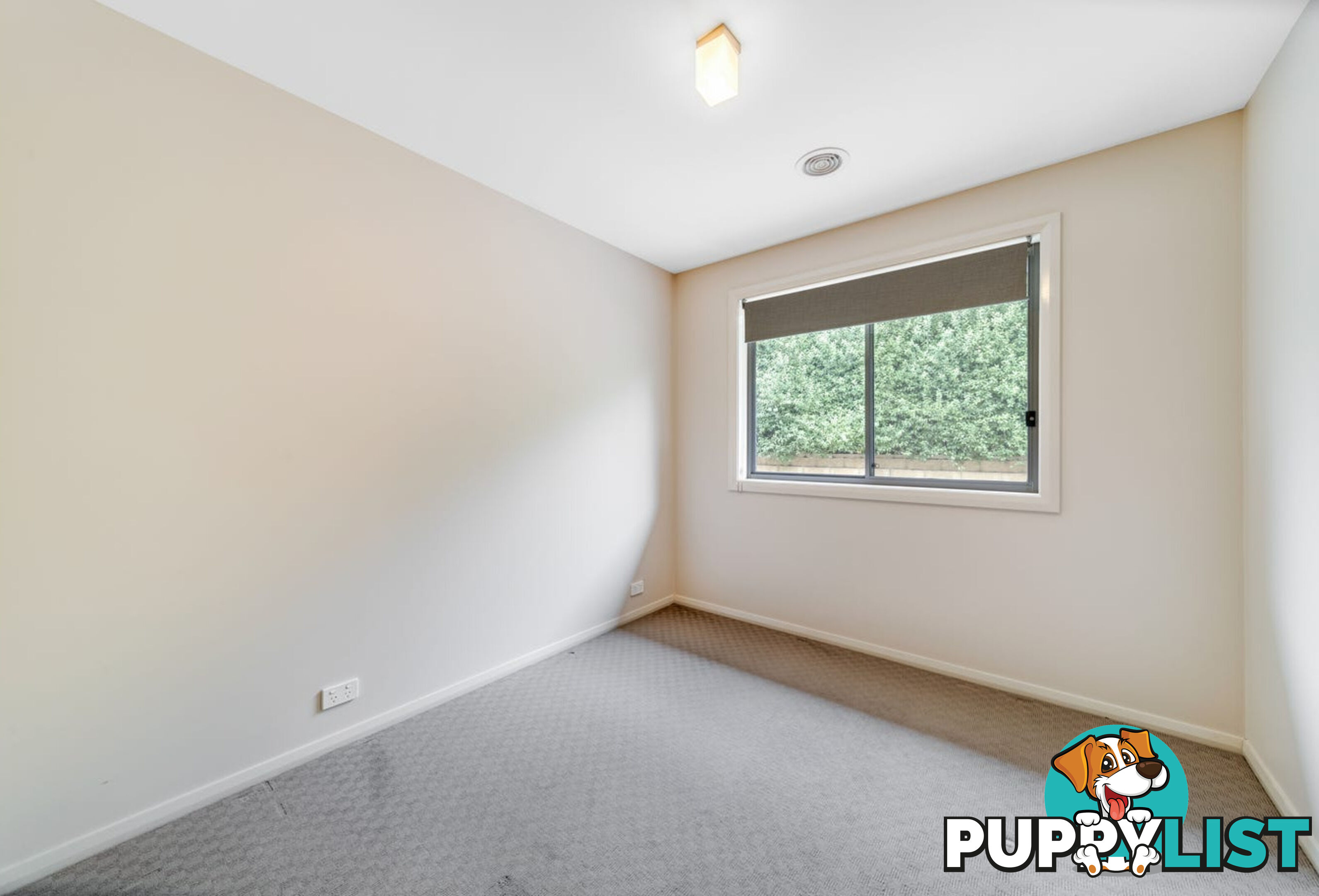 11 Patrick Shaw Street CASEY ACT 2913