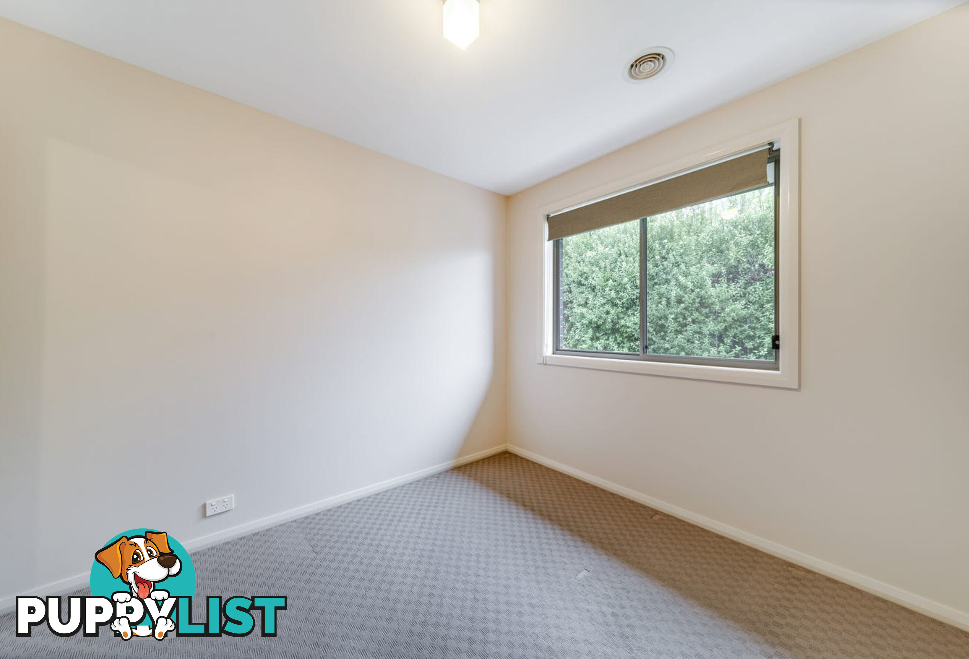 11 Patrick Shaw Street CASEY ACT 2913