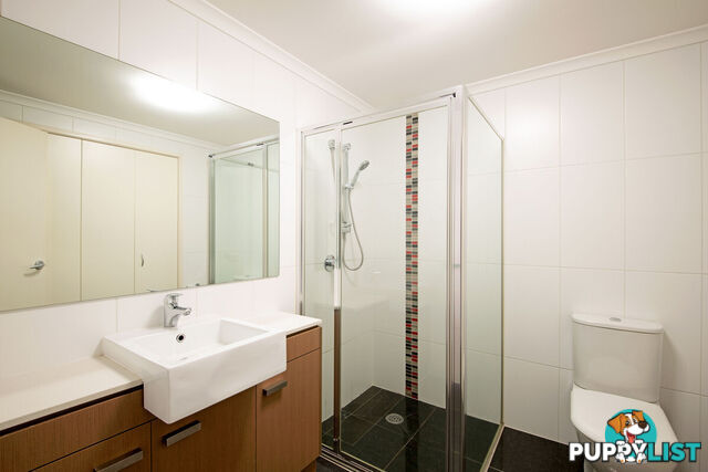 4/65 Torrens Street BRADDON ACT 2612