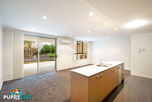 4/65 Torrens Street BRADDON ACT 2612