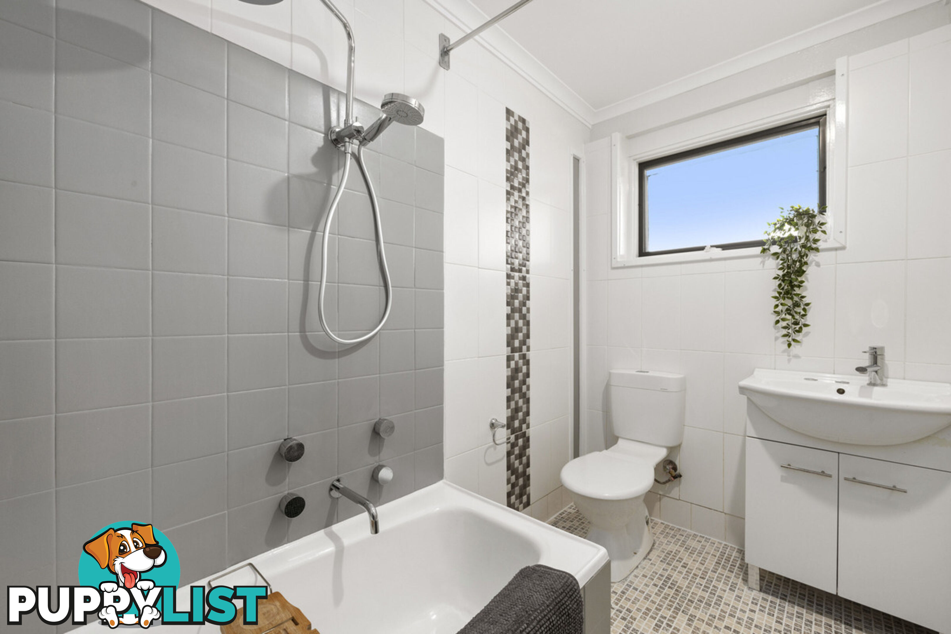 13C Nullagine Street FISHER ACT 2611