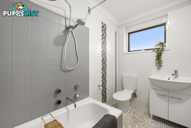 13C Nullagine Street FISHER ACT 2611
