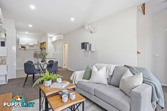 88/235 Flemington Road FRANKLIN ACT 2913