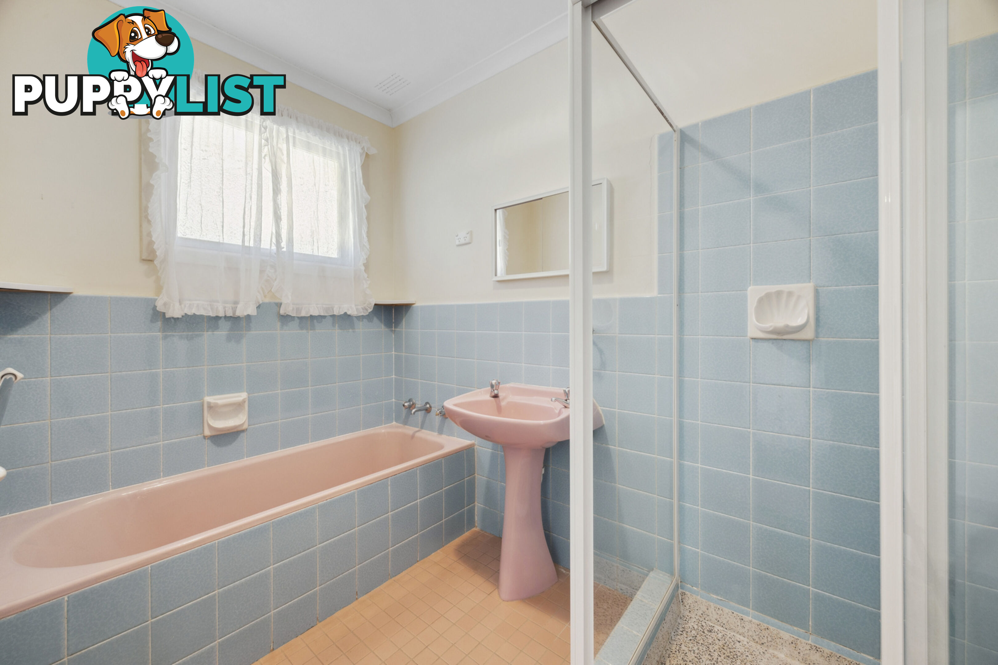 6 Stow Place WATSON ACT 2602
